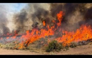 Cae helicóptero que combatía incendio forestal en Utah