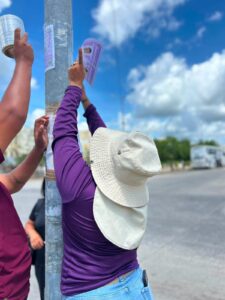 Buscadoras denuncian intento de robo durante jornada en Quintana Roo