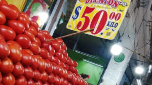 Canasta básica alcanza 4 mil 884 pesos en México