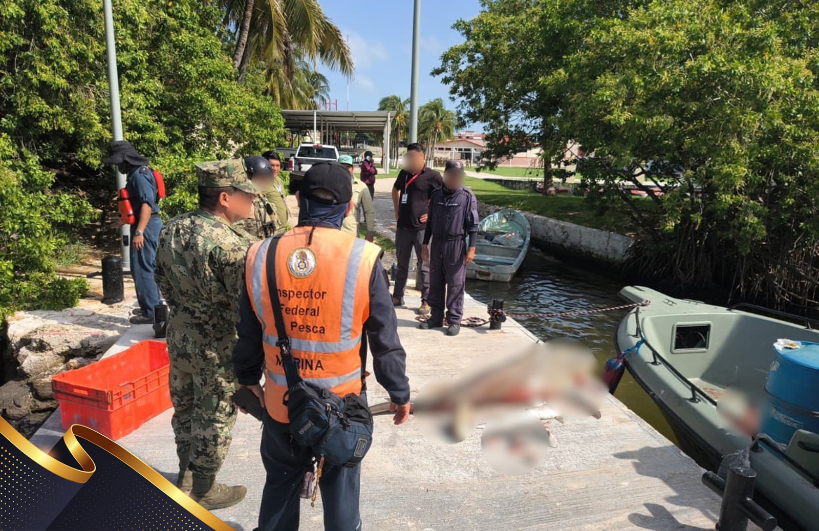 Marina asegura tiburón en veda en malecón de Champotón