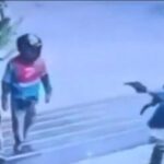Detienen en Bolivia a exasesor de Milei por presunto intento de feminicidio contra su expareja