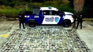 Binomio canino detecta cargamento de marihuana en León