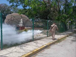 San Miguel concentra mayor actividad de mosquitos en Cozumel