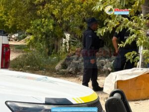Realizan dos cateos en Cuna Maya durante operativo en Cancún