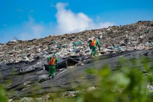 Cozumel descarta usar sargazo como cobertura en relleno sanitario