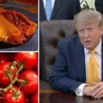 Trump afirma que México no tiene nada que ofrecer a Estados Unidos, sólo ‘tamales picantes y tomates’