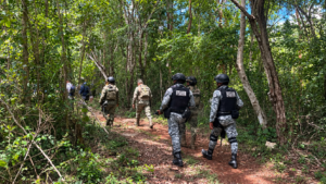 Fuerzas de los tres niveles rastrean zonas de monte por desaparecidos en Carrillo Puerto