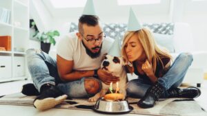 Familias mexicanas gastan más en mascotas y menos en pañales