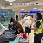Aseguran casi 10 kilos de cocaína en el aeropuerto de Cancún