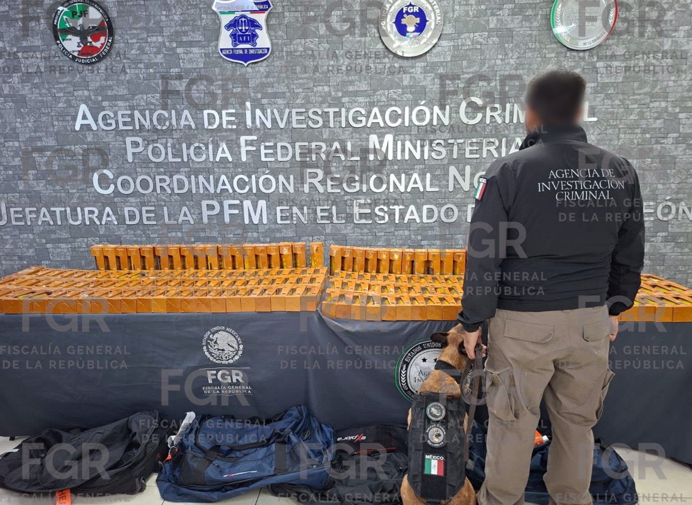 Aseguran 94.5 litros de cocaína en el aeropuerto de Nuevo León