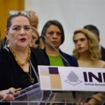 Guadalupe Taddei renuncia al INE y deja la presidencia