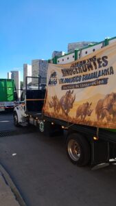 México recibe cuatro rinocerontes blancos para contribuir a la conservación de la especie