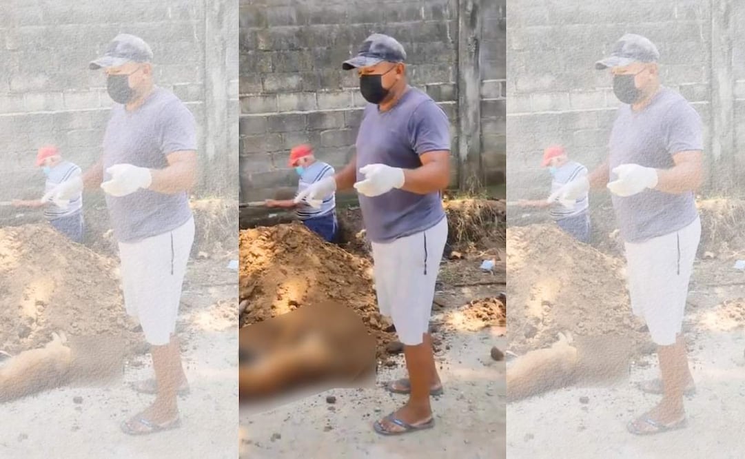 Mueren más de 25 perros por presunto envenenamiento en Chiapas