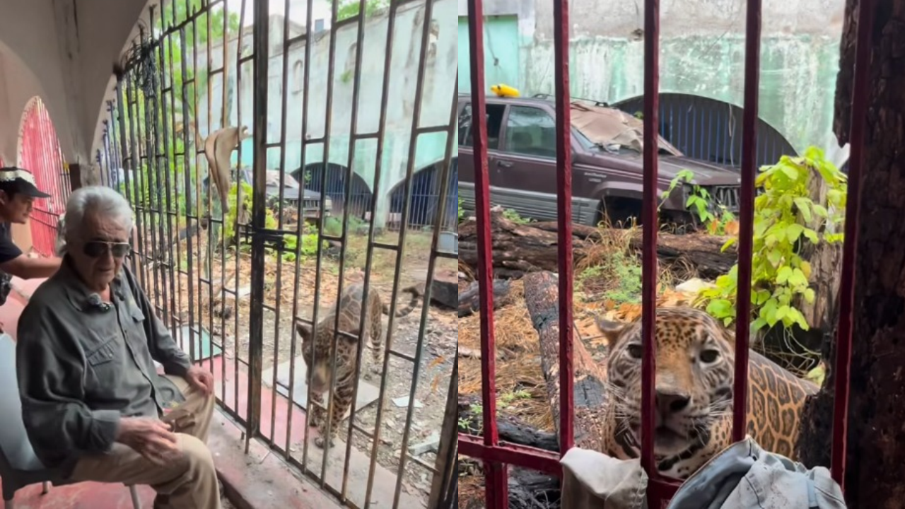 Agepro controla terreno de 250 millones de pesos que reclama Pepe Tigre en Cancún