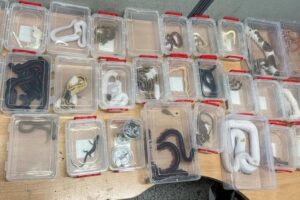 Mexicano intenta ingresar 92 reptiles a Alemania y mueren 30