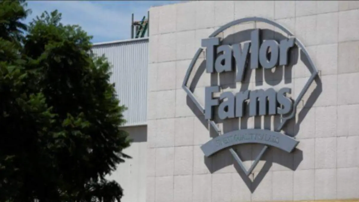 Taylor Farms suspende exportación de lechuga tras brote de diarrea explosiva