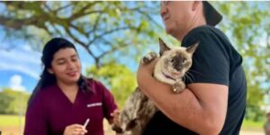 Cancún ofrecerá vacuna antirrábica gratuita para perros y gatos en Paseo Kusamil
