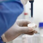 OMS pide información a Rusia por posible caso de peste neumónica en Siberia
