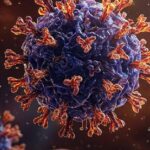 Francia reporta primera infección humana documentada por el virus Shamonda; paciente falleció